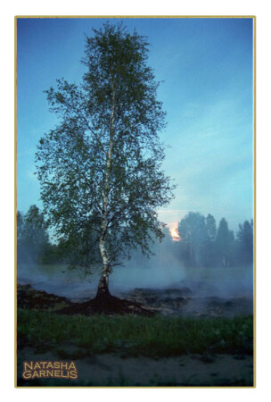 Лунный свет