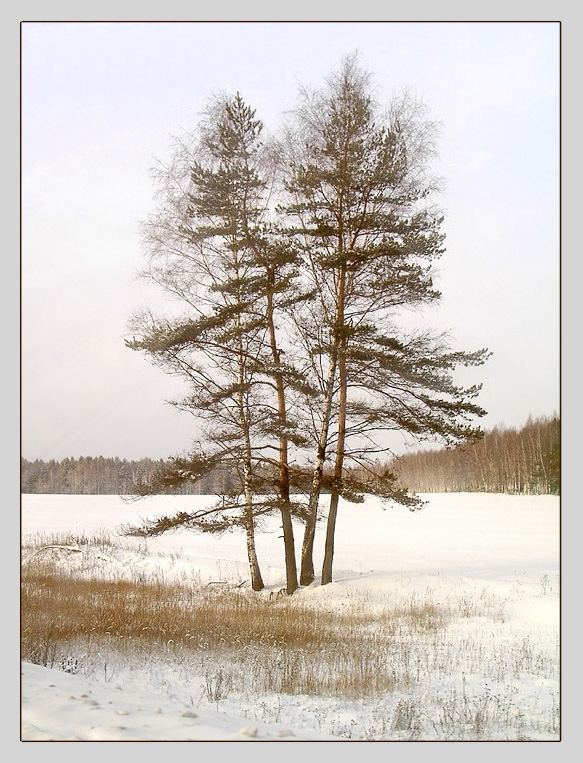 "Две пары..."