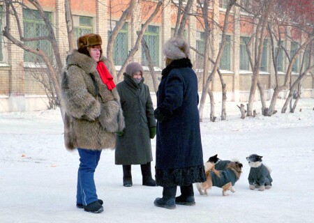 Холодно однако...