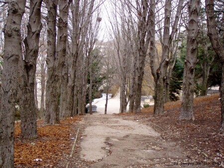 Аллея