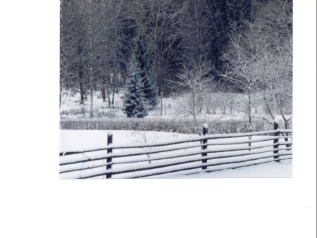 Эстонский пейзаж