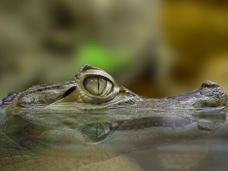 Я такой добрый!