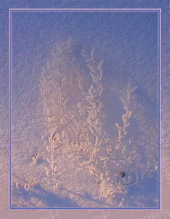 Рисунок зимнего полдня