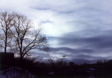 Winter Sky