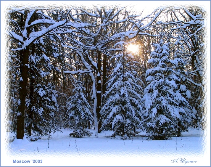 Солнечный лучик в снежном царстве