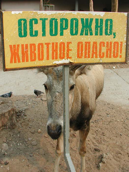 Осторожно, животное опасно!
