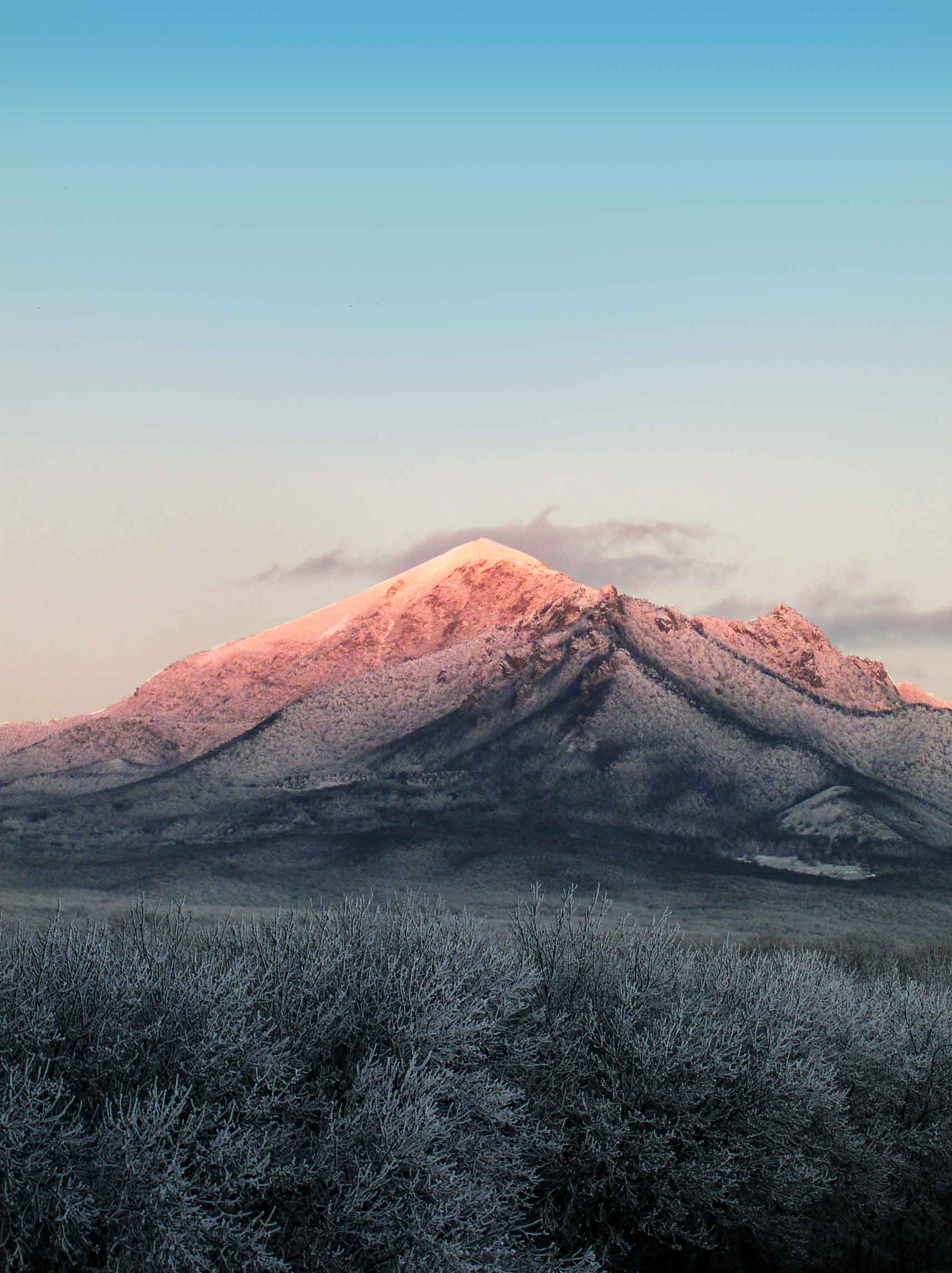 с утра порозовела