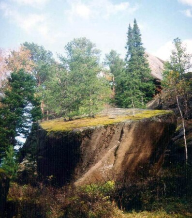 и на скалах растут деревья