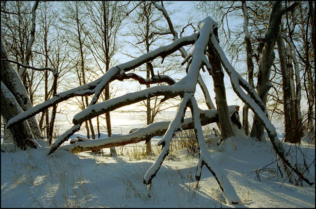пейзаж, почти нейтральный