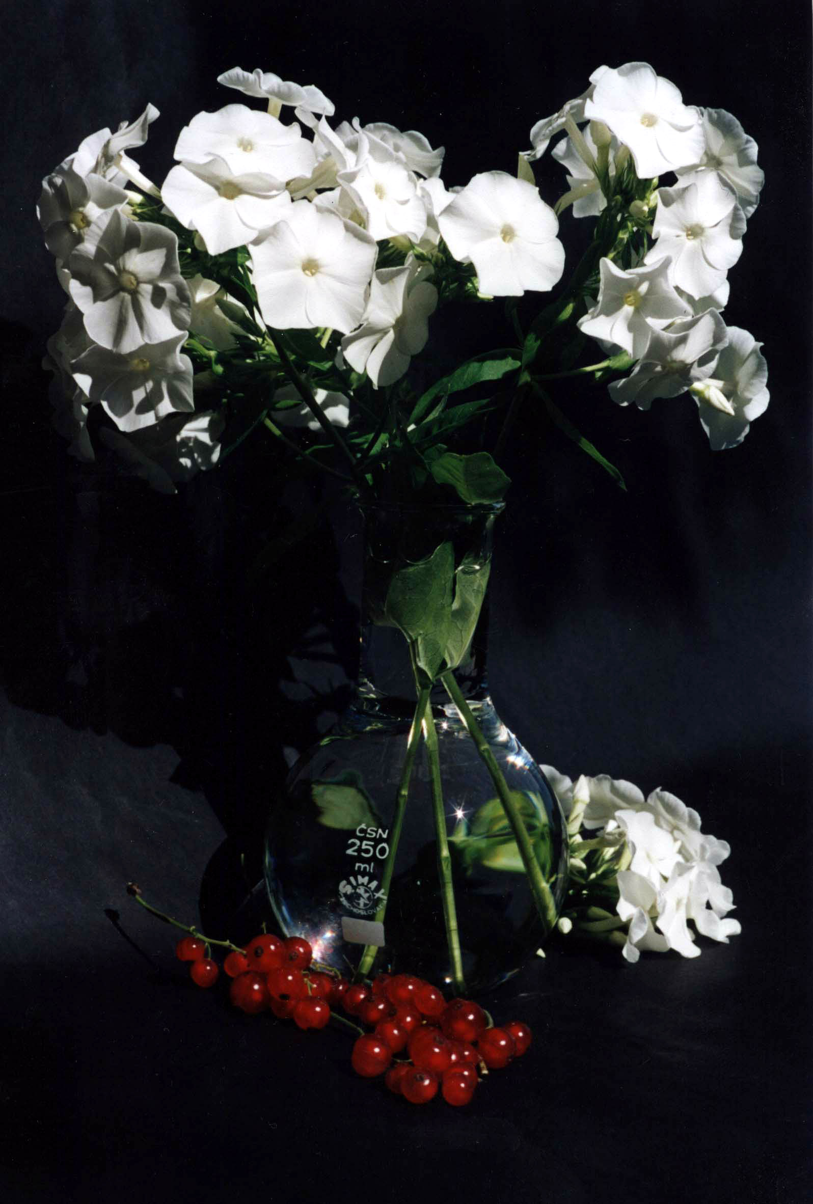 флокс
