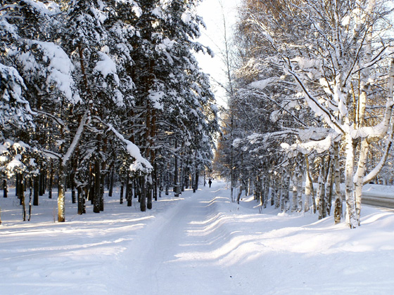 Пешеходная дорожка