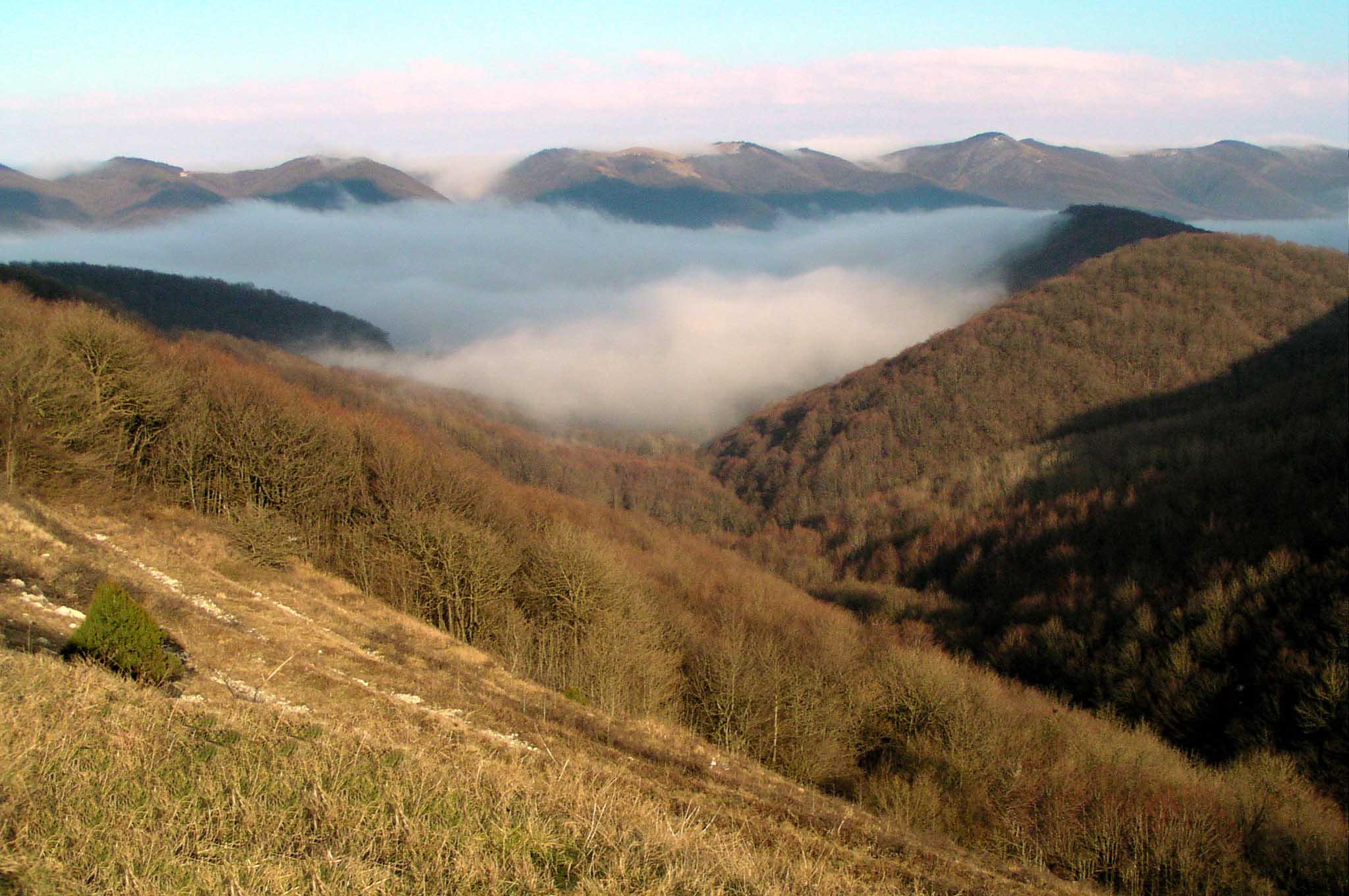 спящее облако