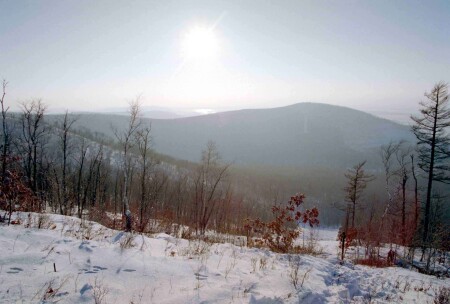 Зайчик скалолаз