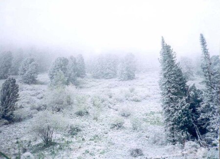 туманное утро