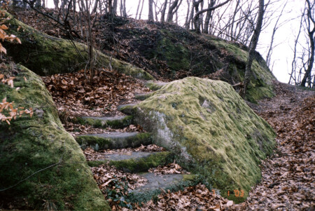 Ступени к ...