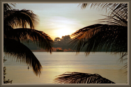 Море кофе [ репост ]