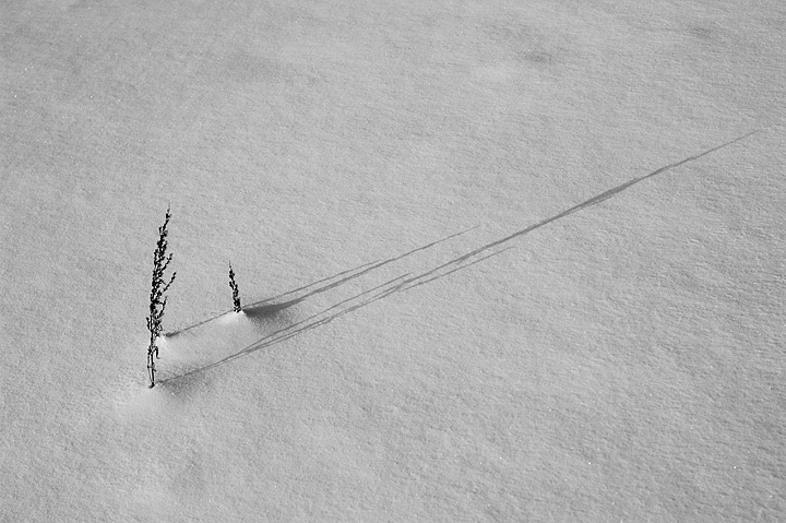 Loneliness