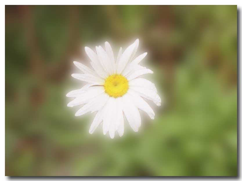 Solaris