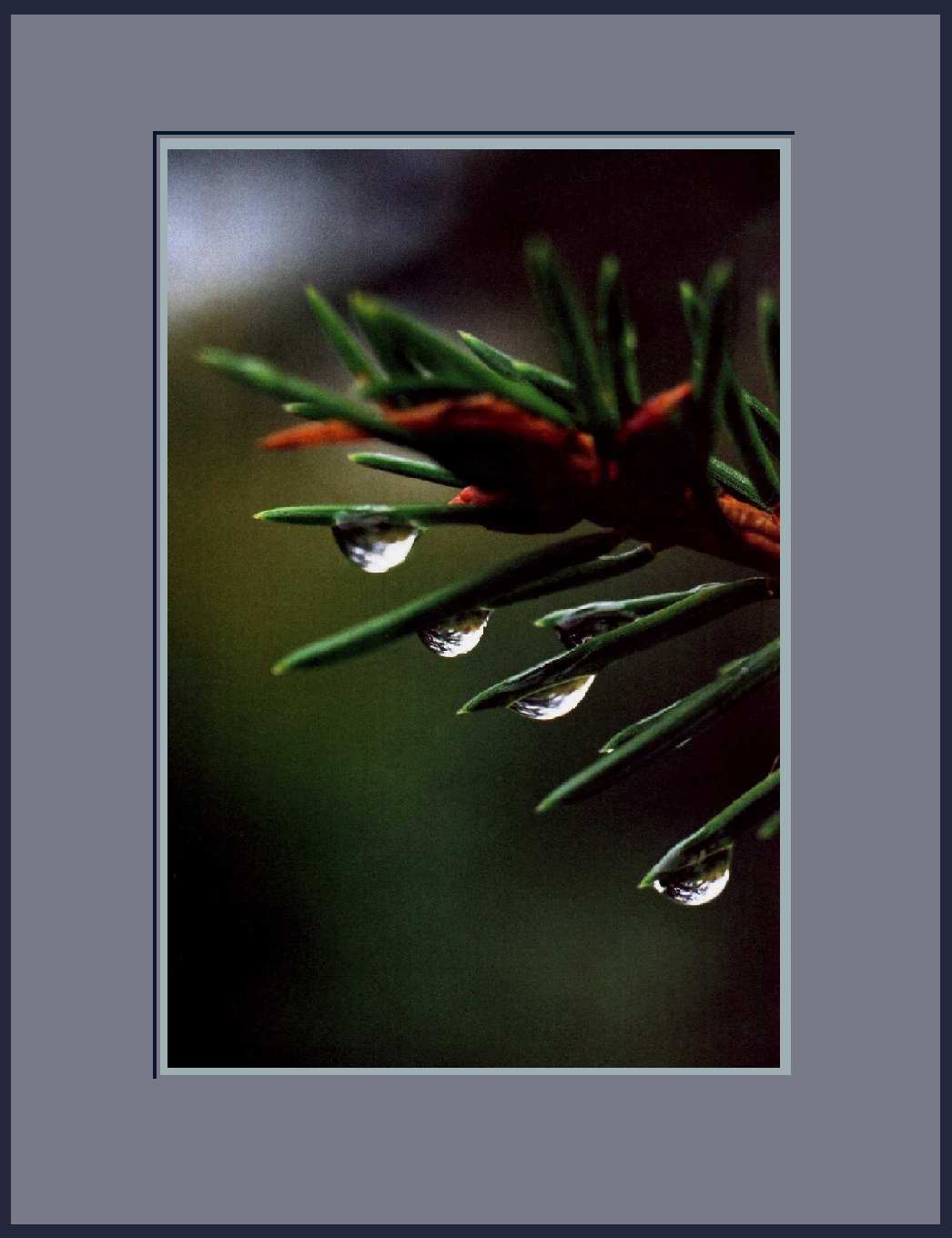 Ноты дождя