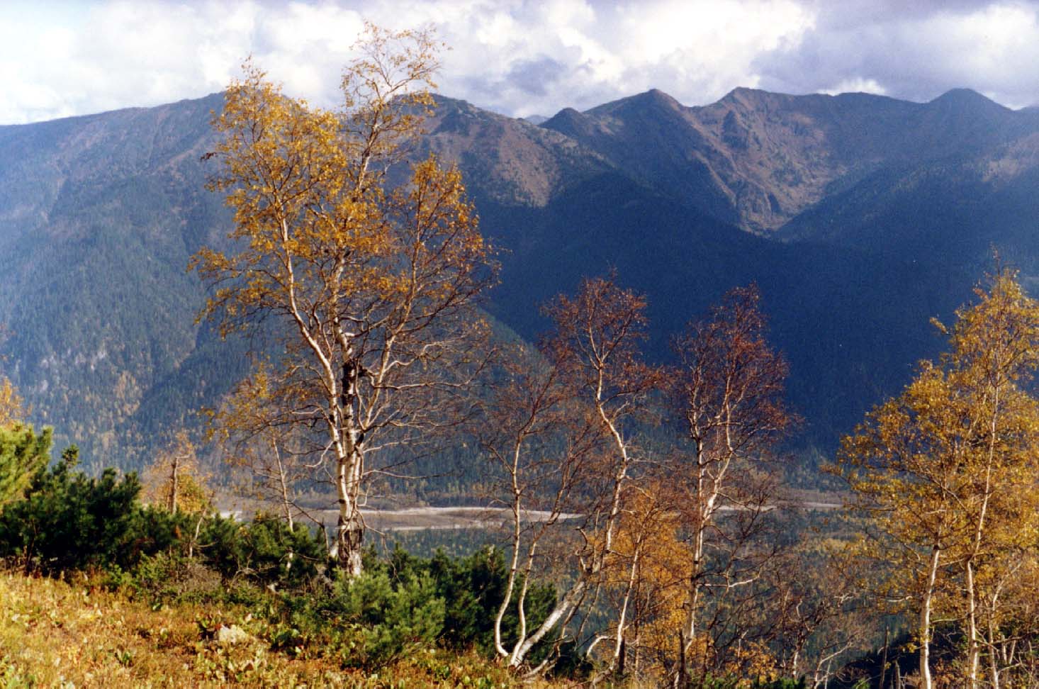 осень на Хамар-Дабане