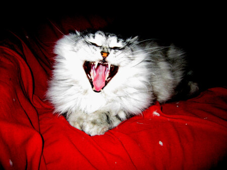 Солидность (проба два)