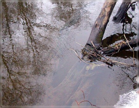 вода