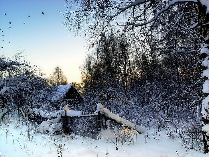 Вечер в зимнем лесу