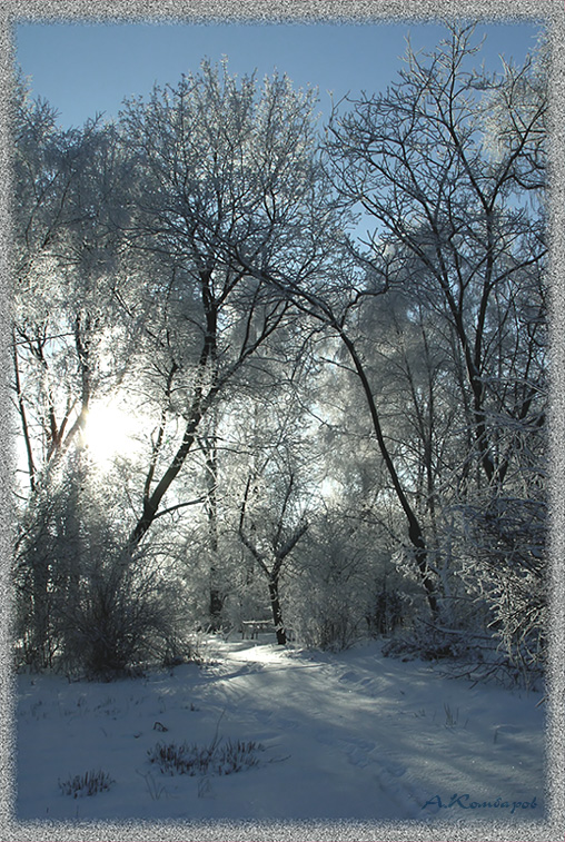 Лучистый день,среди зимы унылой..