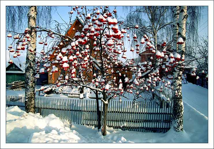 Зимняя сказка