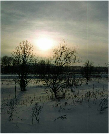 Скоро ночь перед Рождеством