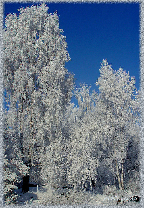 Лучистый день,среди зимы унылой 3