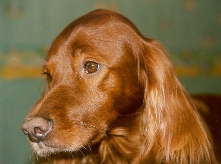 Уж полночь близится!!! Давно пора гулять !!!!!!!!!!