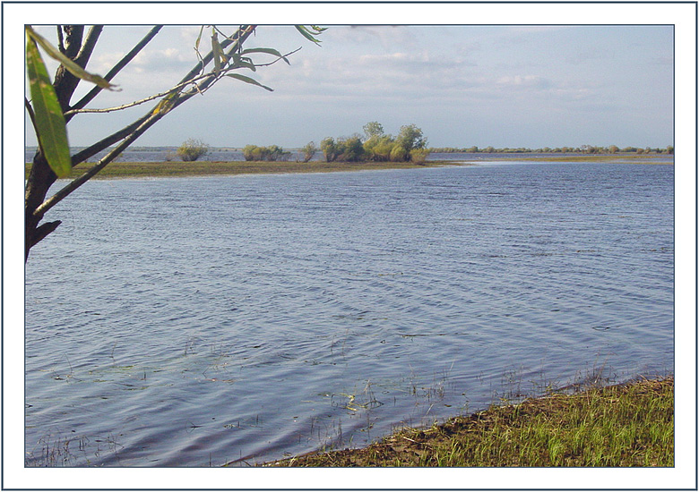 Осенний ветер 2