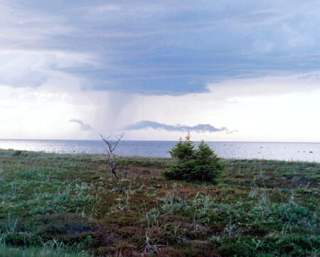 Дождь со стороны