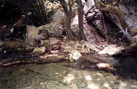 Брод(из серии красоты Крыма)