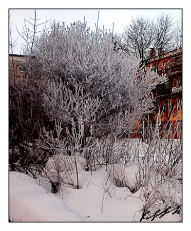 Зима в городе