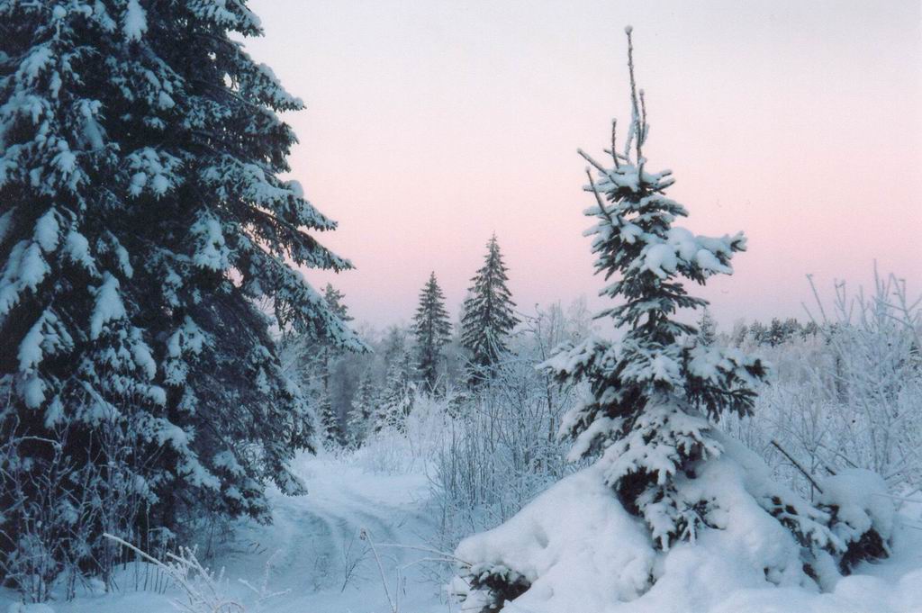 НГ в Финляндии