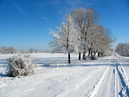 Дорога