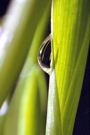 Размышление