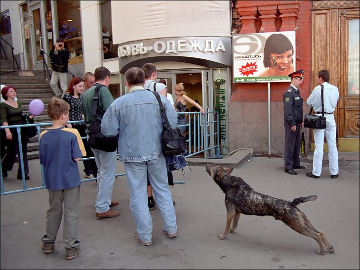 Чтобы это значило?