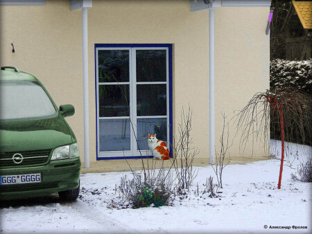 ХОЗЯИН ДОМА!!!