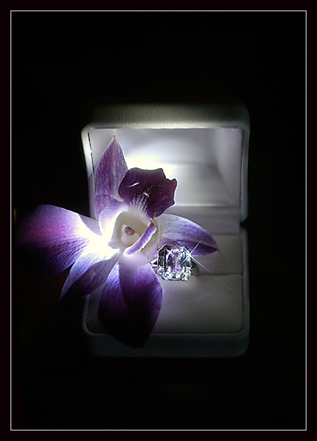 The Ring