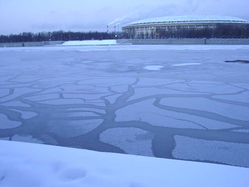 Ледяное дерево