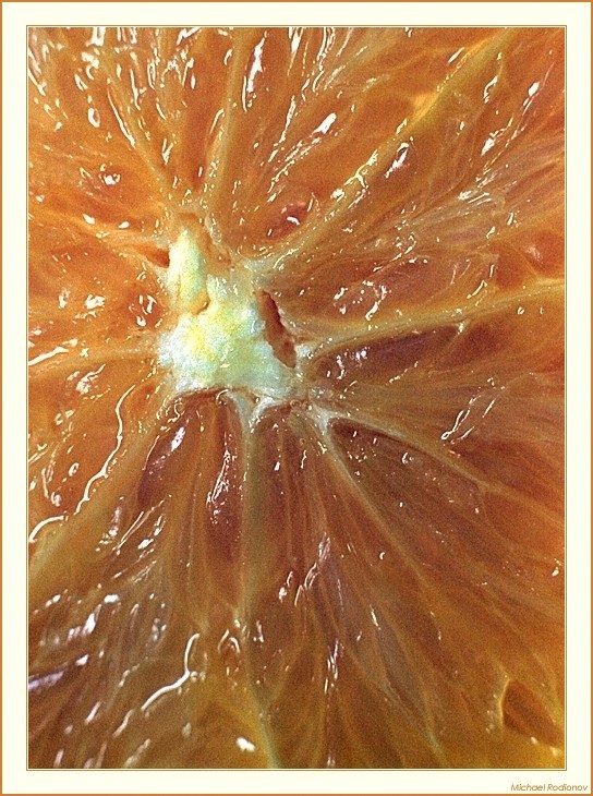 L'Orange. Эротика Чужих