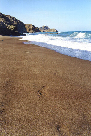 Присутствие