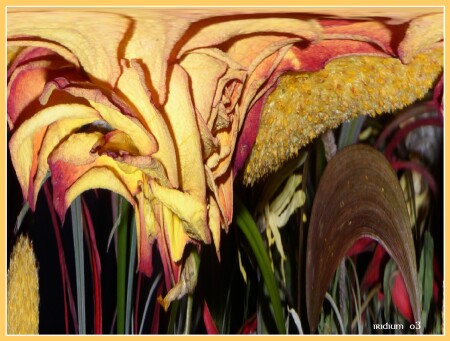 *** DIGIT-FLOW.. ***