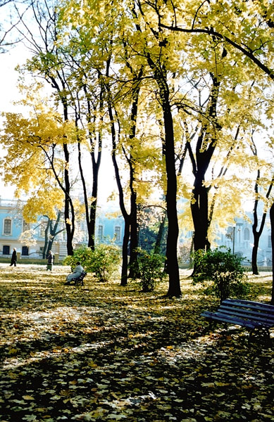 Осень золотая, как люблю тебя я