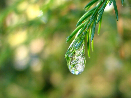 Ещё чуть-чуть и я растаю. . .