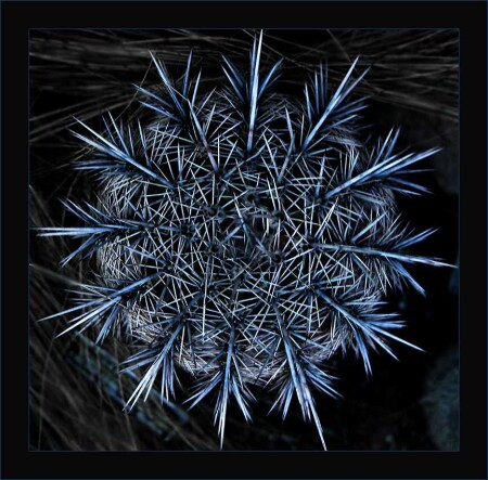 ex-бомба а теперь "СТРАШНАЯ СНЕЖИНКA" (за название особая благодарность N@u)