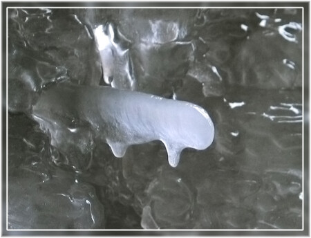 Чудо природы